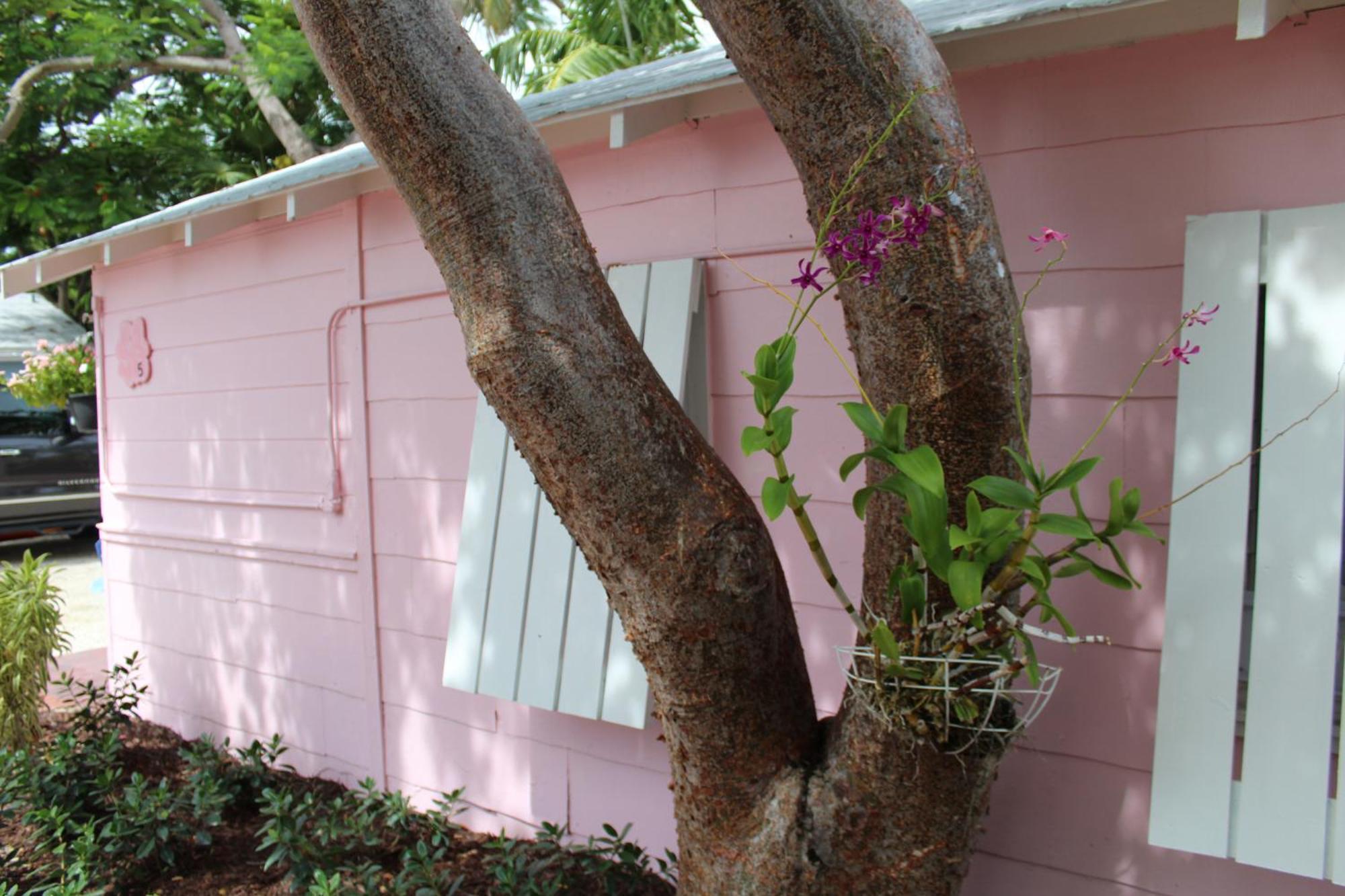 Tropical Cottages ماراثون الغرفة الصورة